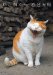 岩合光昭写真集 ねこ輝く