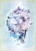 RADWIMPS Live & Document 2014「×と○と君と」 [DVD]