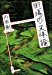 街場の文体論 (文春文庫)